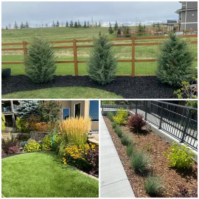 Spring CLEAN UP and lawn care in Lawn, Tree Maintenance & Eavestrough in Calgary - Image 4