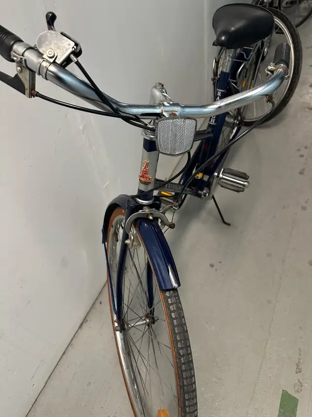 Raleigh Bicycle477289859441633281