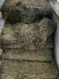 Wrapped hay