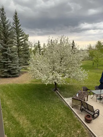 Available June 1st -LARGE one bedroom condo