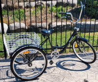 Raleigh Trike Bicycle