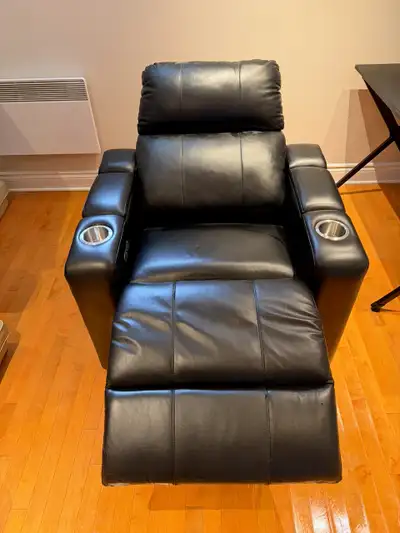 Pulaski Bradley Black Top-grain Leather Dual Power Recliner, View more