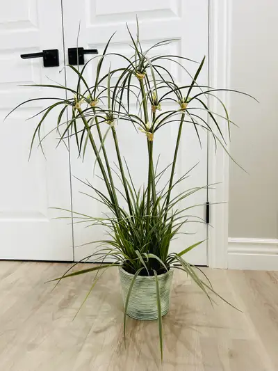 Tall plant (fake) , View more