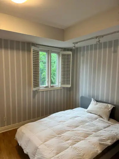 3 rooms and a basement for rent in downtown Toronto, 5 minutes to Wellesley or Bloor-Yonge subway, D...