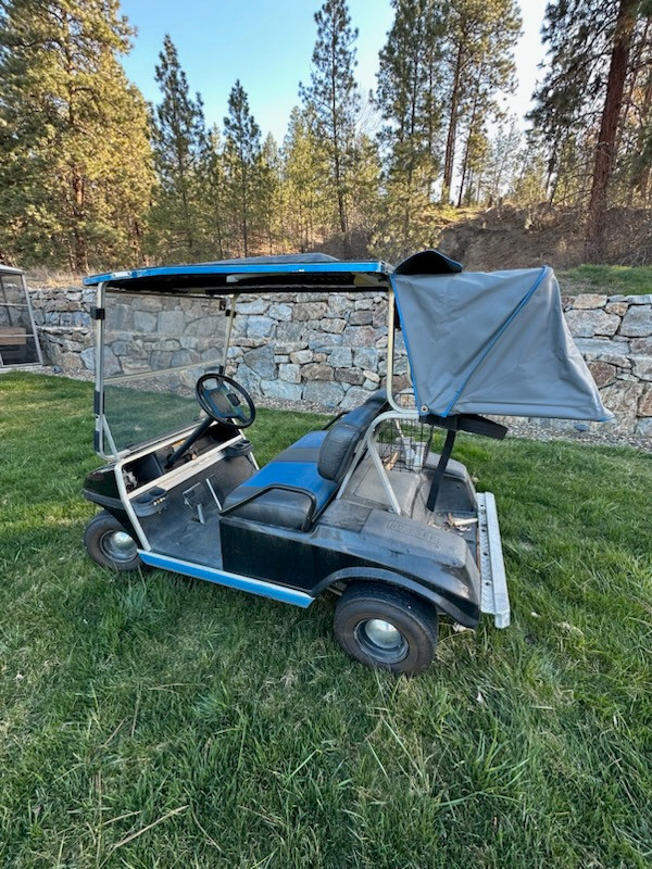 Golf Cart in Other in Vernon - Image 4