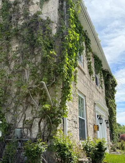 Beautiful 2-Bedroom Apartment - Aug 1st