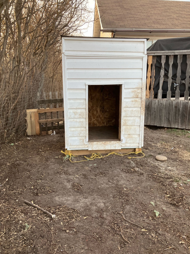 BIG SiZE DOG HOUSE  in Animal & Pet Services in Edmonton