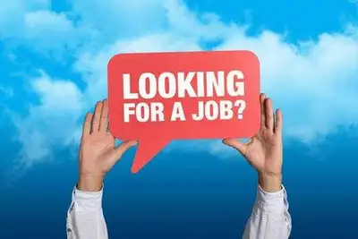 Looking for cash job, View more