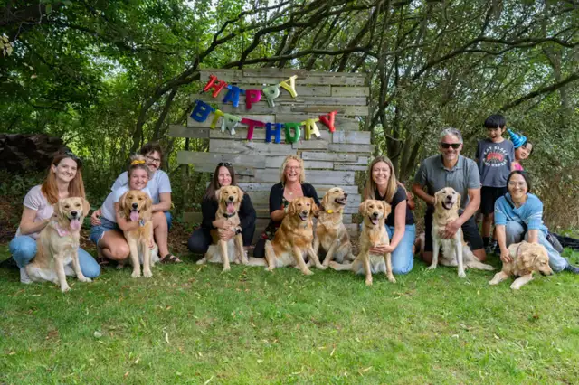 ALL PUPPIES NOW HAVE HOMES Golden Retriever Puppies  Yeee Hawww! in Dogs & Puppies for Rehoming in Kitchener / Waterloo - Image 9