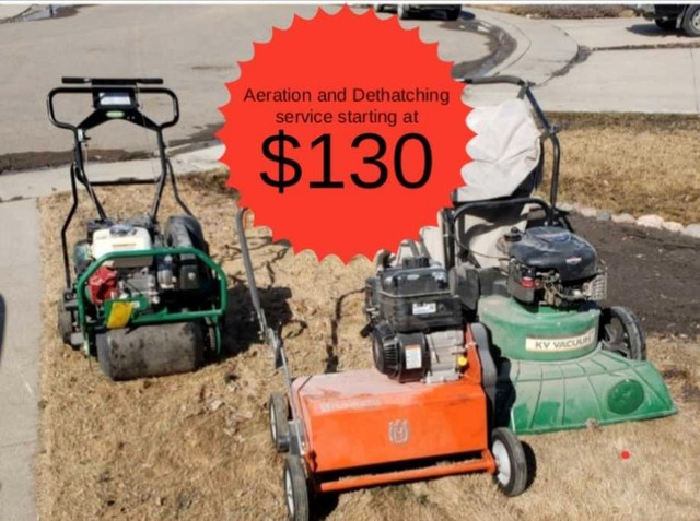 Weekly grass cutting starting at $35 in Lawn, Tree Maintenance & Eavestrough in Saskatoon - Image 2