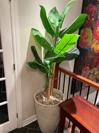 Artificial Plant 6’ Tall