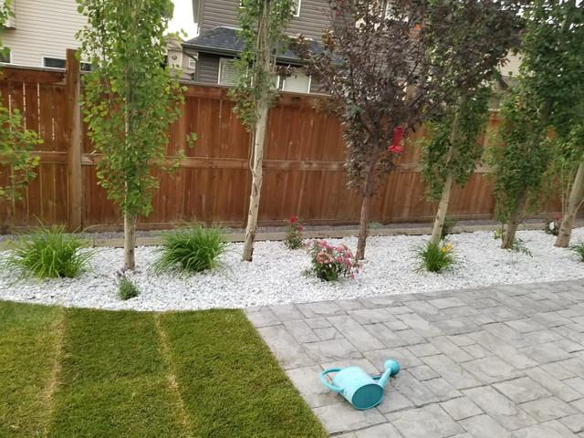 Landscape and construction services in Lawn, Tree Maintenance & Eavestrough in Calgary