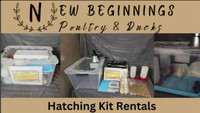  Hatching kit rentals