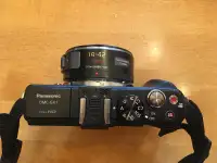 Lumix GX1 with 2 lenses