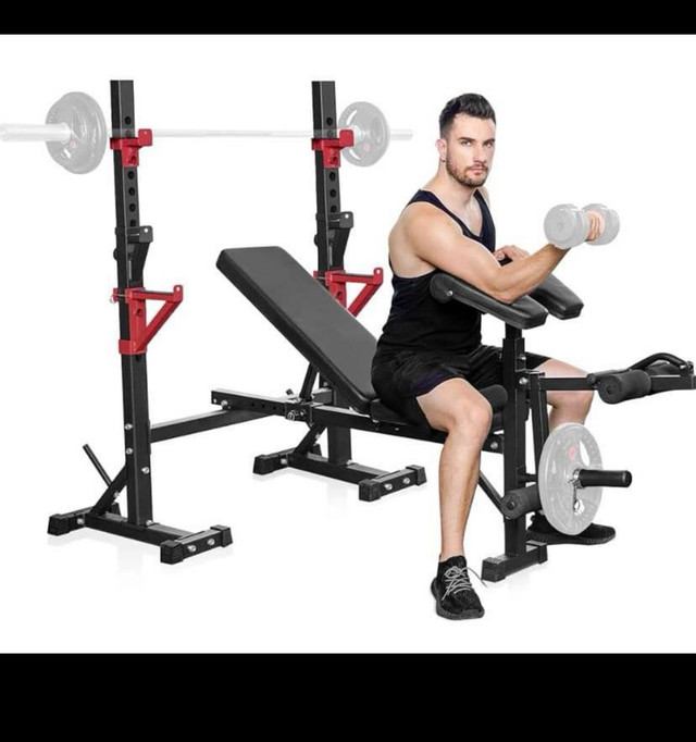 Weight Bench with Squat Rack Bongkim Adjustable Bench Multi Purp Exercise Equipment Hamilton Kijiji Classifieds