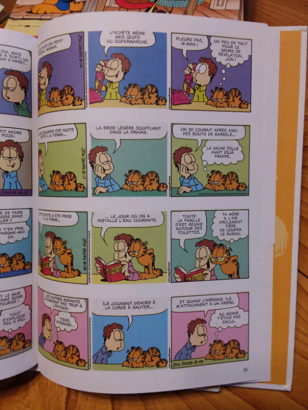 GARFIELD SÉRIE STANDARD 22.5 X 29.5 CM dans Bandes dessinées  à Laval/Rive Nord - Image 2