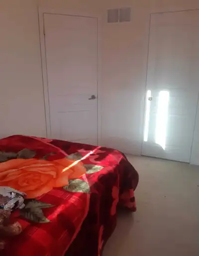 room for rent