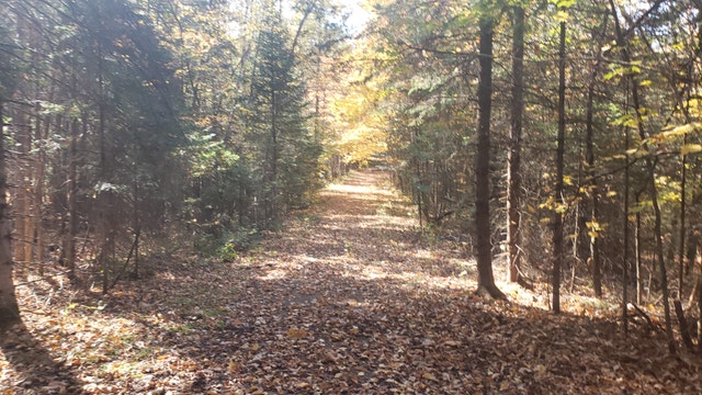 Land Lot for Sale — photo 1