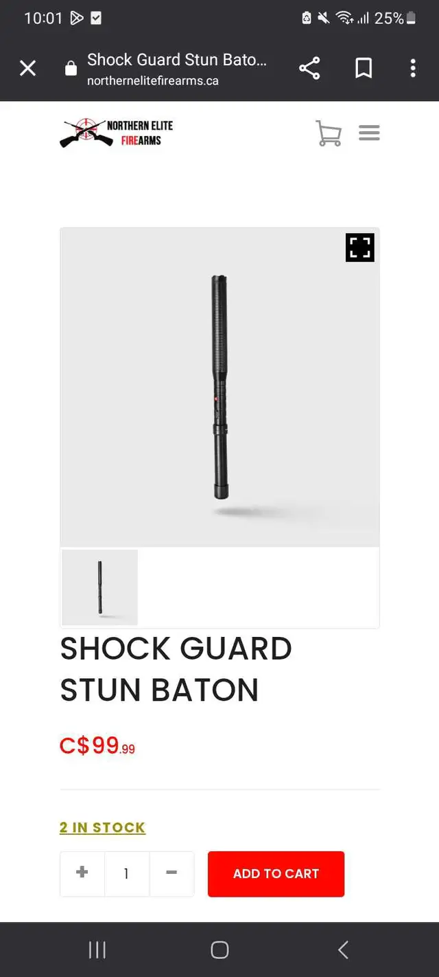 shockguard stun baton 63882168427393121