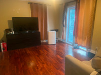 Cosy Room for Rent in a Shared Downtown Montreal Available Now