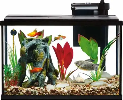 5 gallon aquarium , View more