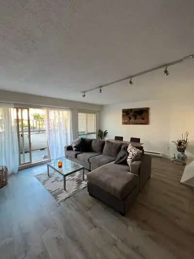 Fully Furnished 1 bed, 1 bath professional suite