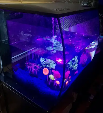 Magnifique FLUVAL aquarium de 15 gallons, bien équipé comme neu, View more