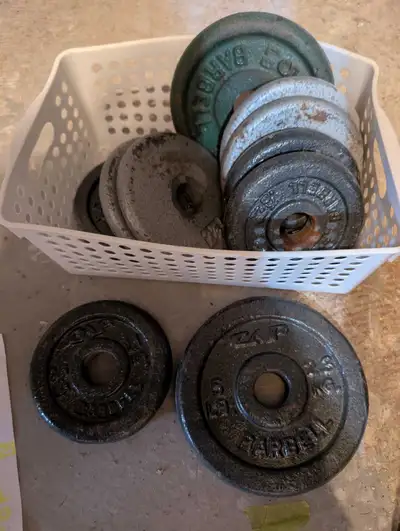 Cast Iron Weight Plates – Mixed Small Plate Lot – $40, View more