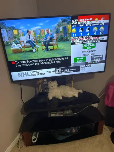 Television stand only , View more