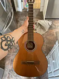 Half size guitar