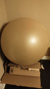 Stability (Exercise) Ball