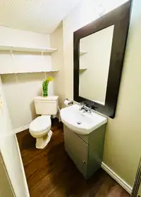 One bed one bath basement suite available from June 1