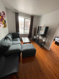 $1 350 / 1br - Apartment For Lease ( Downtown Montreal)