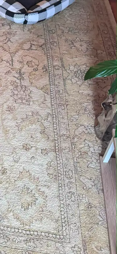 Beautiful wool rug, View more