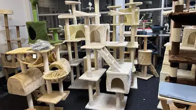 Cat tree, cat tower, View more