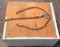 Cattle Neck Chains