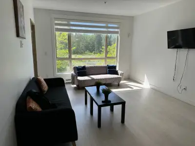 1 BD plus den apartment , View more