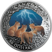 2018 CANADA$50-5 OZ SILVER COIN NATURE'S LIGHT SHOW:STORMY NIGHT