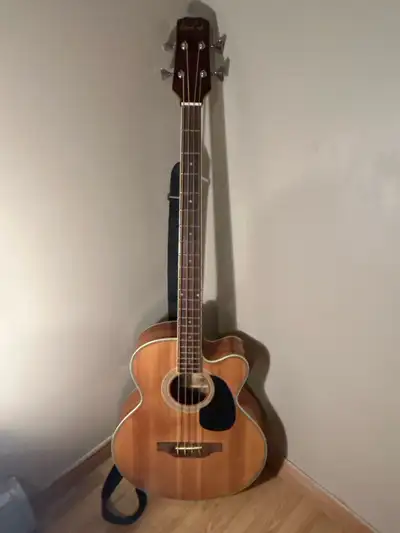 Acoustic Electric bass - Beaver Creek, View more