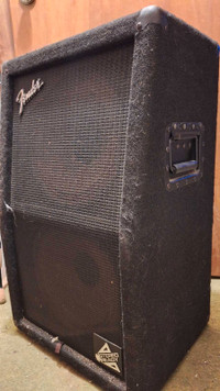 Fender and Peavey Guitar Speaker Cabinets.