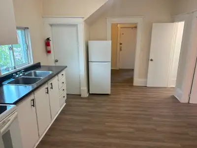 Main Floor Two bedroom apartment at 433 Kehoe Street for $1890 including utilities but not internet....
