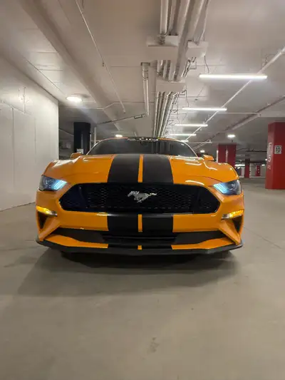 Mustang GT Décapotable comme neuf, 1 propriétaire depuis 2019 -Dossier complet d’entretien de chez F...