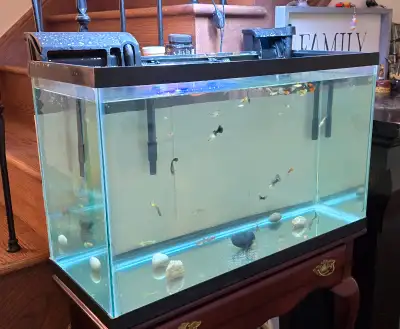 Aquarium +2 water pumps and fishes, View more