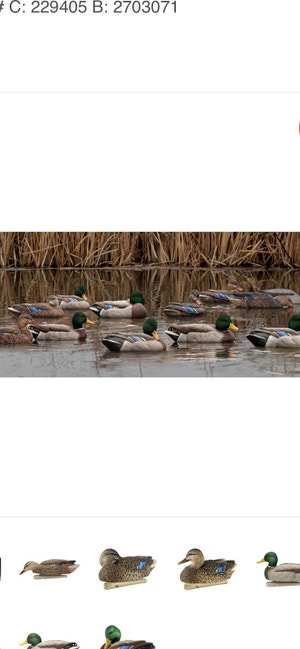 Goose Decoys | Buy or Sell Used Fishing, Camping & Outdoor Equipment in