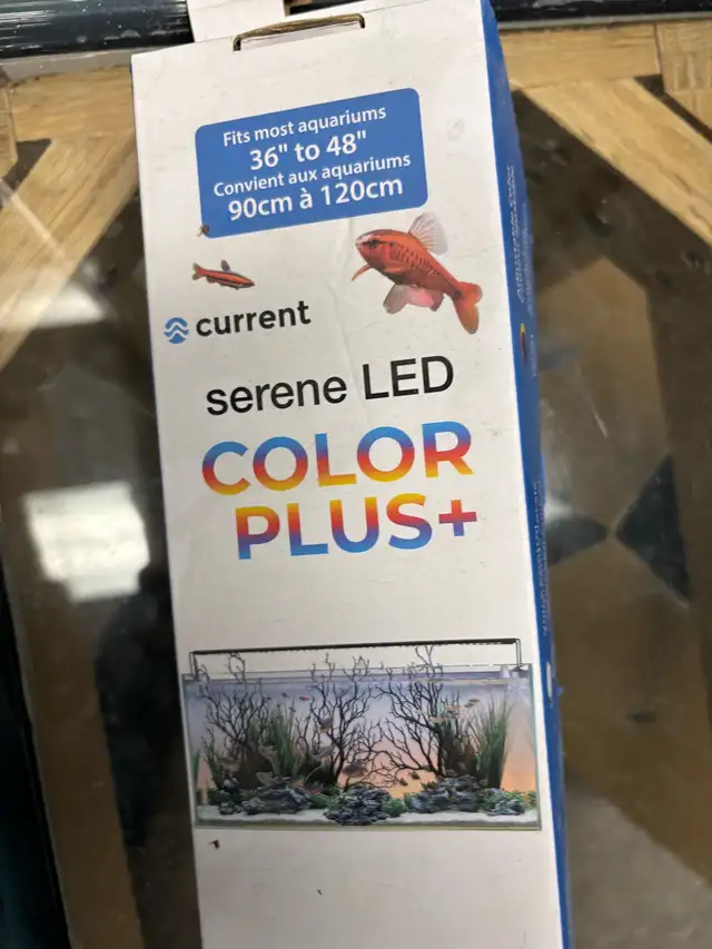 60g fish tank in Fish for Rehoming in Lethbridge - Image 4