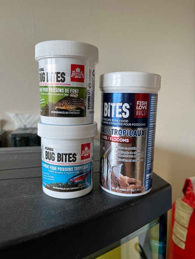 36 gallon fish tank with everything! Fish for Rehoming Winnipeg