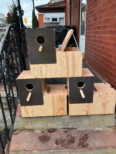 I have a full line of hand made, locally built nest boxes. Nest boxes for finches $25 - $45, budgies...