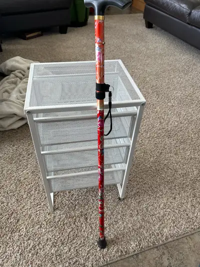 Fancy folding cane with carrying bag. , View more