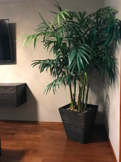 Large Artificial Palm Tree