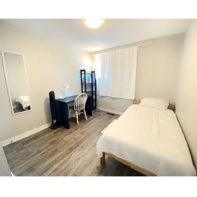3 MIN TO AC✨[JUNE 1, 2024] FULLY FURNISHED COZY ROOM (MALE ONLY) dans Chambres à louer et colocs  à Ottawa